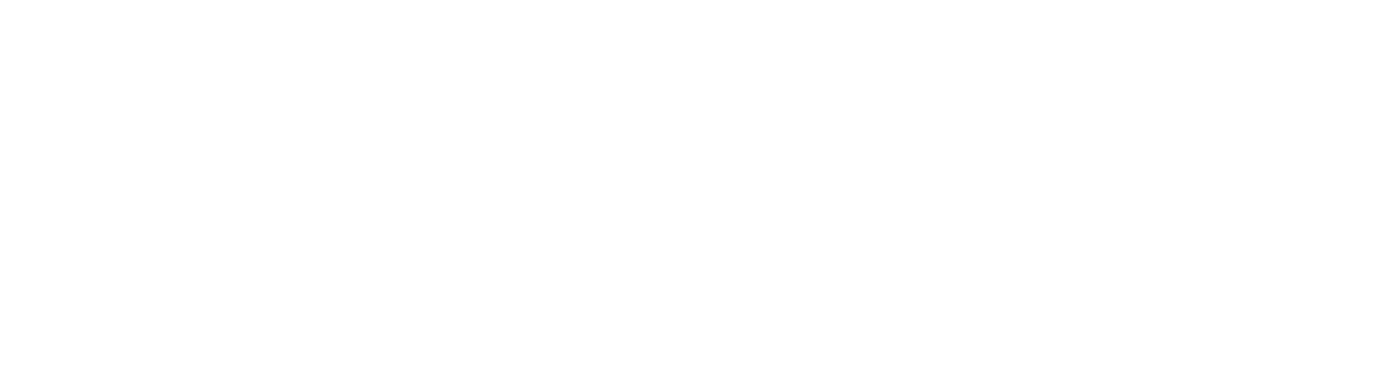 LOGOTIPO-BLANCO